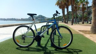 Bicicleta clásica MTB 26