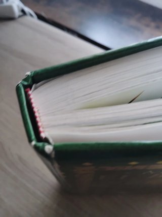 MI AMIGO EL BOSQUE - TODOLIBRO