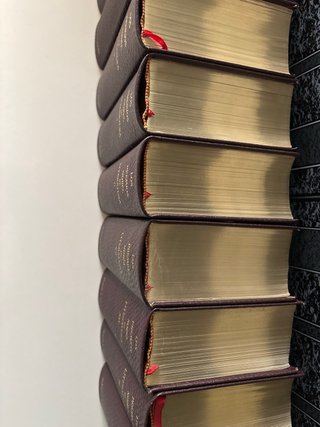 libros premio nobel de la literatura plaza Janés