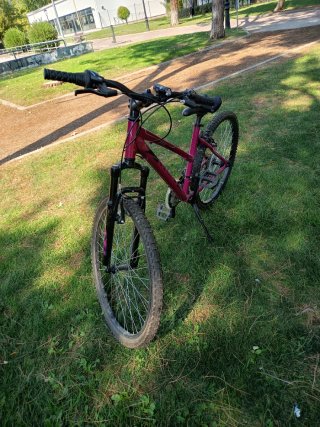 Bicicleta B-PRO R24 Morado