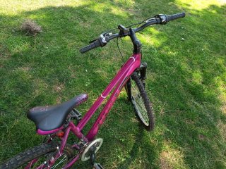 Bicicleta B-PRO R24 Morado