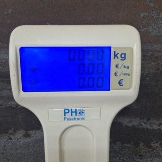 Báscula Plataforma PH Pesatronic + Visor Epelsa