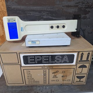Báscula Plataforma PH Pesatronic + Visor Epelsa