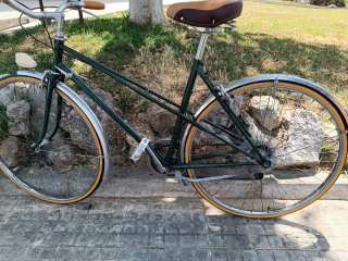 Bicicleta Clásica Paseo Verde