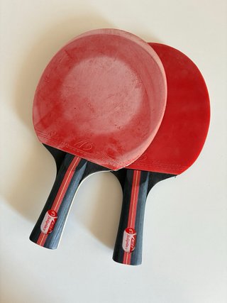 Set de ping pong con red