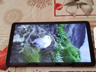 Samsung Galaxy Tab A9 Impecable
