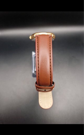 Reloj Pierre Busset Cuarzo Dorado Marrón