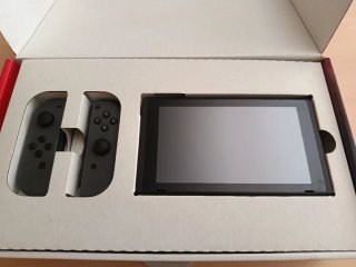 Nintendo Switch Gris Completa