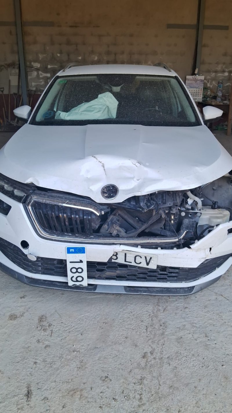 Škoda Kamiq 2019, foto 2