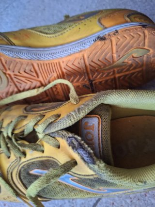 Lote Zapatillas Niño Talla 35