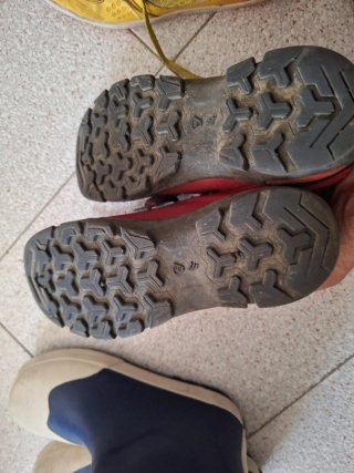 Lote Zapatillas Niño Talla 35