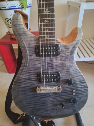 Guitarra Eléctrica PRS SE Paul's Guitar Charcoal