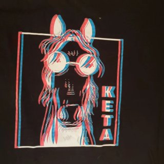 Camiseta Negra Talla XL con Diseño de Caballo