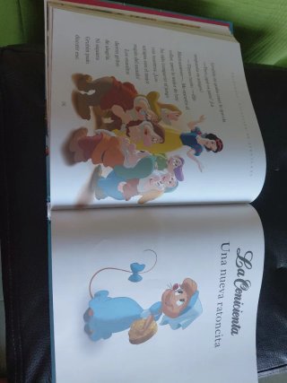 Princesas Disney : colección de aventuras