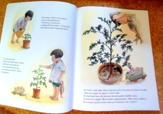 La fête de la tomate. Libro infantil. Francés.