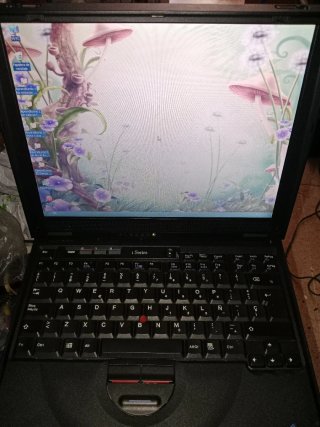 Ordenador portátil IBM 1161 ThinkPad i Series
