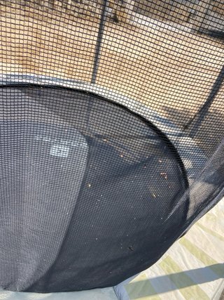 Cama elástica con red de seguridad