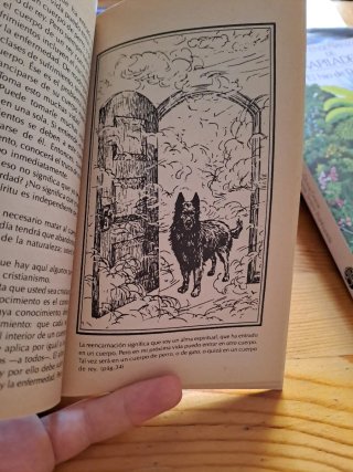 Volver a nacer la ciencia de la reencarnación :...