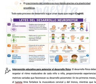 Temario Oposiciones Educación Infantil - 50€