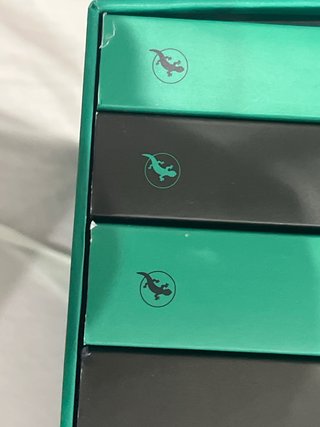 Estuche Harry Potter Slytherin (Edición Limitada)
