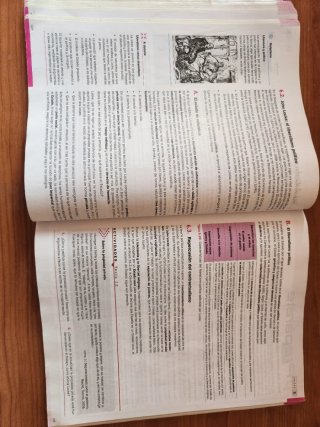 Historia de la filosofía, 2 Bachillerato
