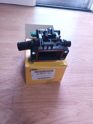 Termostato Grupo PSA Peugeot Citroen Ford