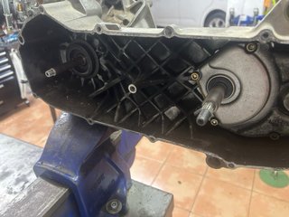 Motor Jog Top Negro