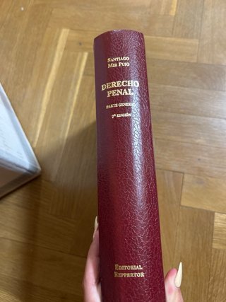 Libro de derecho penal 7 edición parte general