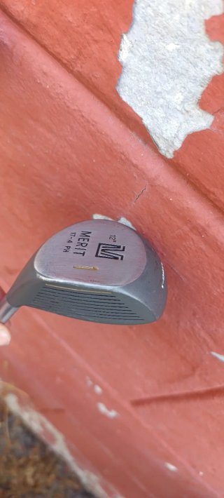 Juego 11 palos de golf Merit con funda