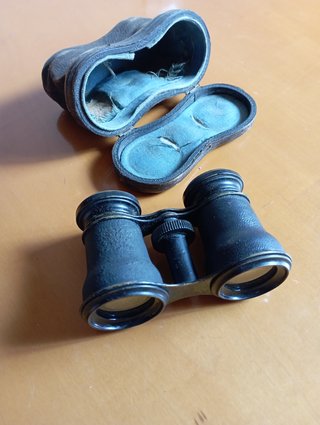 Prismáticos antiguos siglo XX con estuche