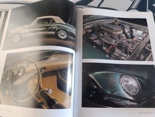 Arte Del Mustang