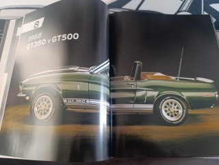 Arte Del Mustang