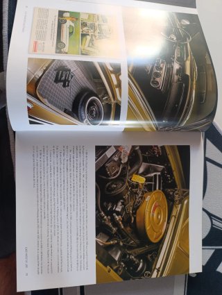 Arte Del Mustang