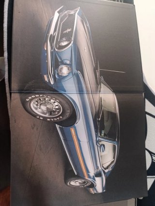 Arte Del Mustang