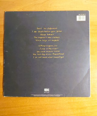 Vinilo Sinead O'Connor - I Do Not Want What I Have