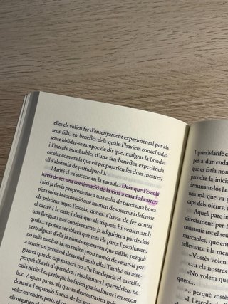 La mestra de Victor Labrado