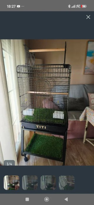 Jaula para loros