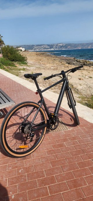 Bicicleta Eléctrica Fiido C21