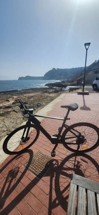 Bicicleta Eléctrica Fiido C21