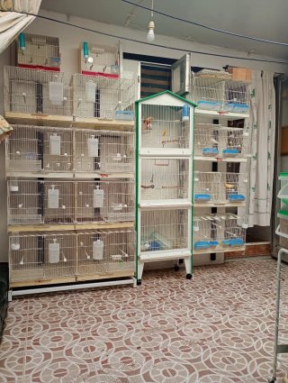 Aviario completo para pájaros
