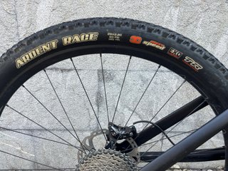 Canyon Nerve AL 9.9 29"