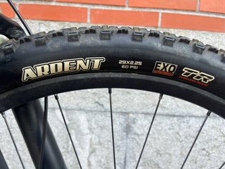 Canyon Nerve AL 9.9 29"