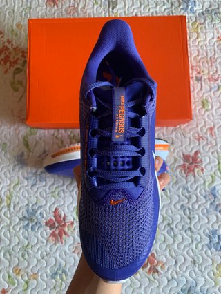 Nike Air Zoom Pegasus Premium "Lapis White"