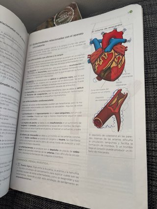 Biología y geología, 3 ESO, Operación mundo