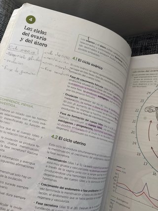 Biología y geología, 3 ESO, Operación mundo