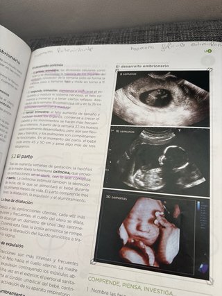 Biología y geología, 3 ESO, Operación mundo