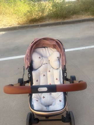 Carrito de bebé rosa y marrón