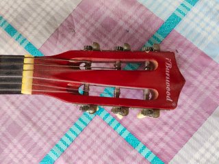 Guitarra española de madera decorada