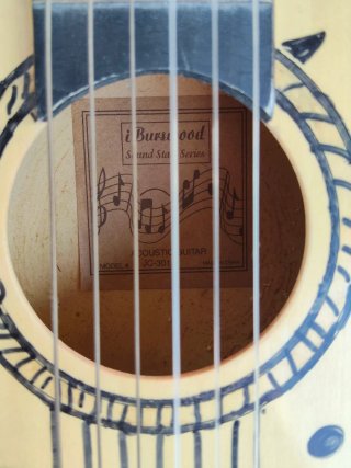 Guitarra española de madera decorada