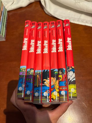 Coleccio bola de drac